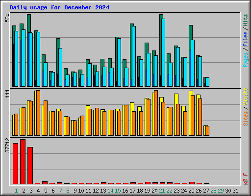 Daily usage for December 2024