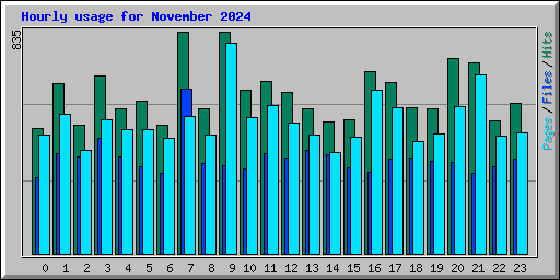 Hourly usage for November 2024