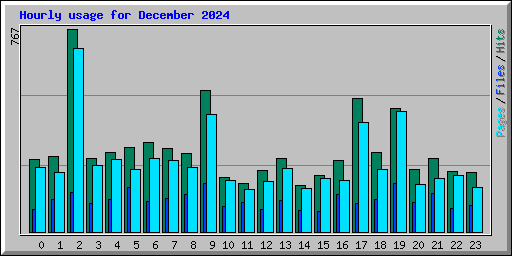 Hourly usage for December 2024