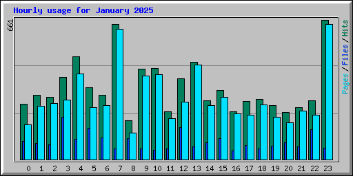 Hourly usage for January 2025