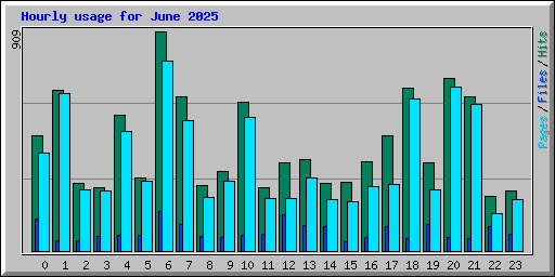 Hourly usage for June 2025