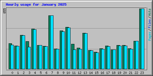 Hourly usage for January 2025