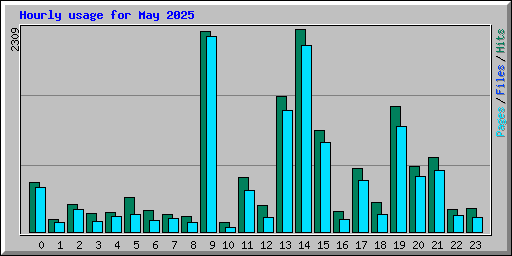 Hourly usage for May 2025